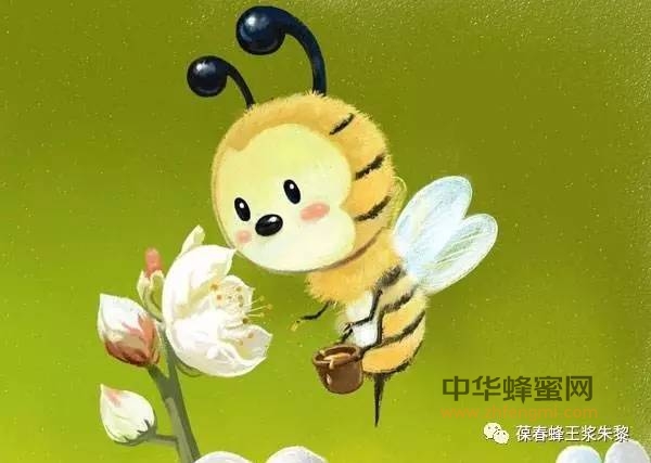 一些国家十分重视利用蜜蜂为农作物授粉