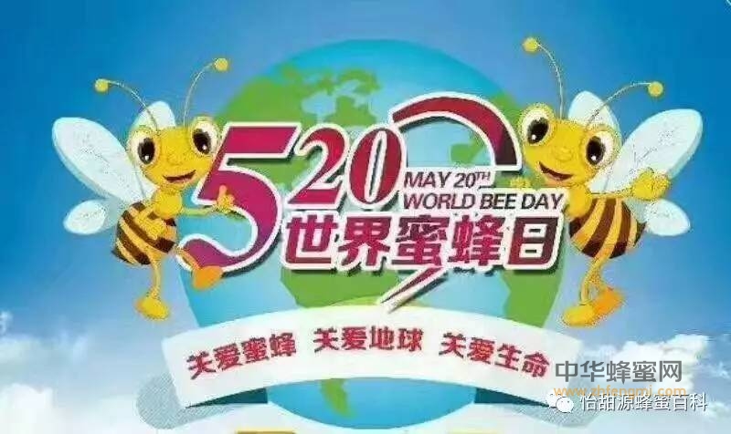 世界蜜蜂日为什么选在5.20？