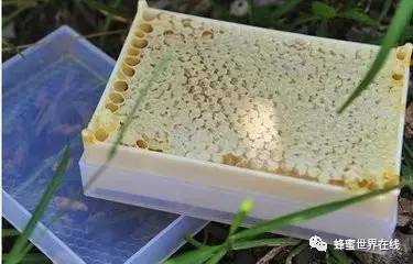 巢蜜比蜂蜜多什么？