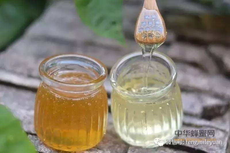 蜂蜜是最佳美容剂和天然良药！你值得拥有！