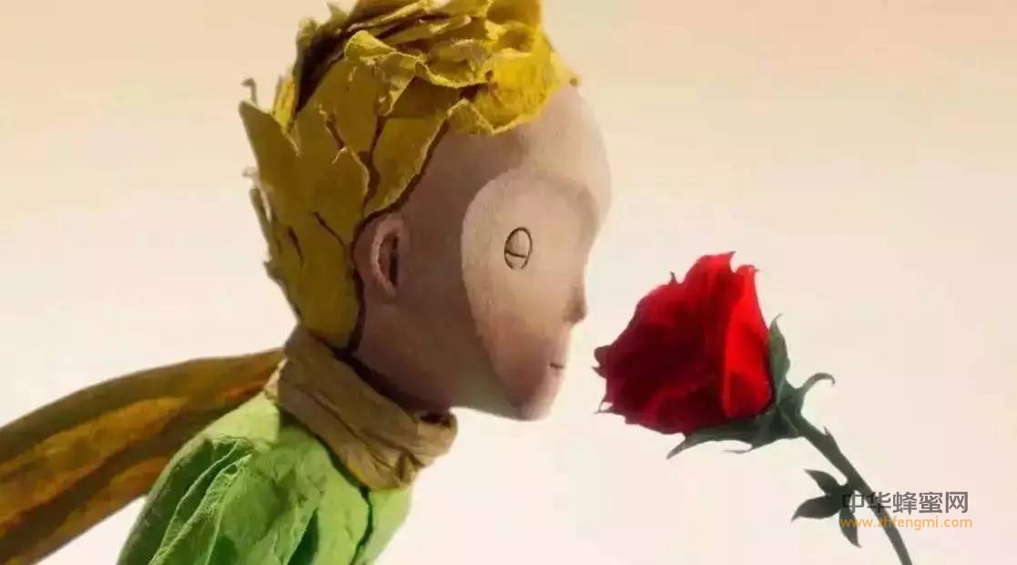 情人节：也许世界上有5000朵与你一模一样的花，但只有你是我独一无二的玫瑰！
