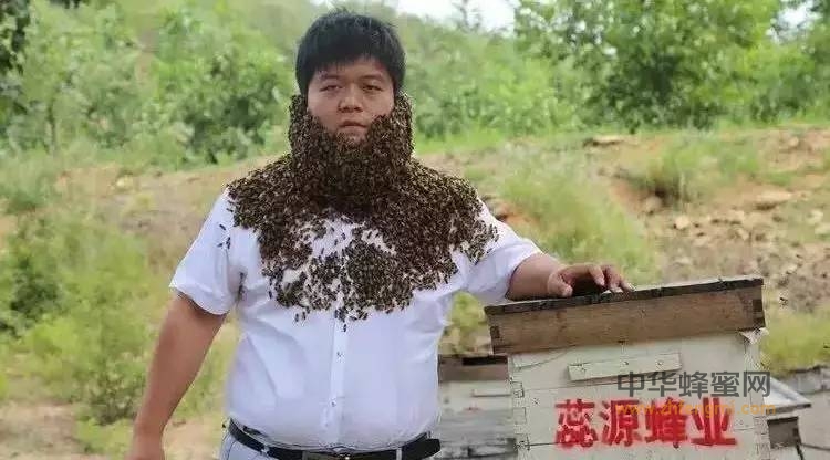 养蜂人为什么能防癌且能长寿