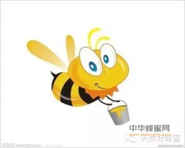 食用蜂蜜会发胖吗？吃蜂蜜的4个误区你知道几个？