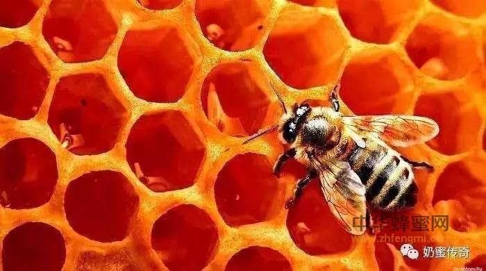 正确认识蜂蜜