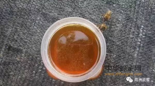 蜂蜜喝起来很甜就是加白糖了？谁说的！