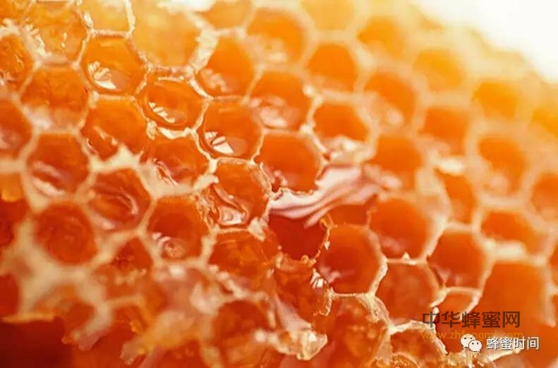 蜂蜜是健康之友，常服蜂蜜保健康！