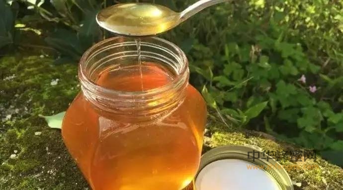 天然绿色的保健品蜂蜜，你喝了吗！