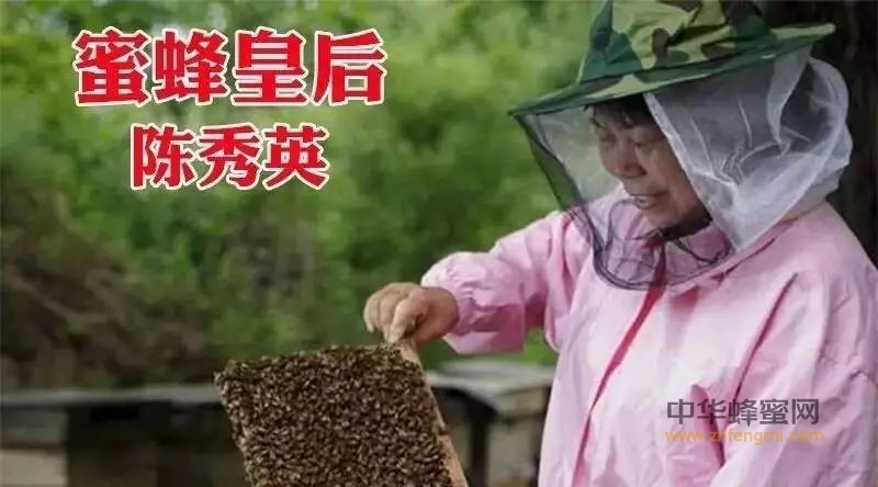 深秋养生妙计：争“蜂”吃醋法