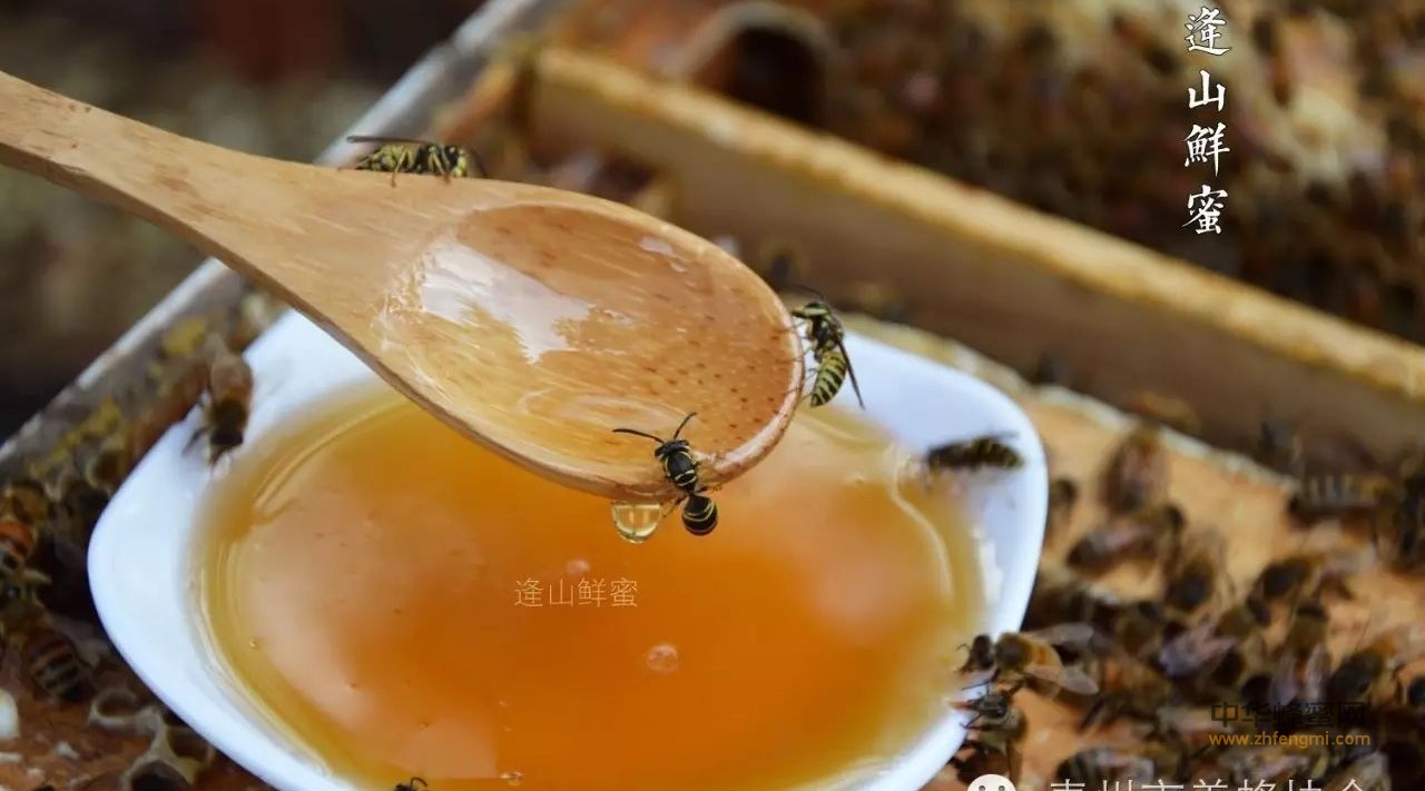 老年人吃蜂蜜，立刻拥有七大战斗力!，