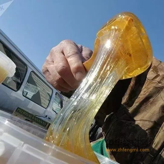 《环球时报》超1.2吨俄天然蜂蜜因细菌超标被禁止进入中国