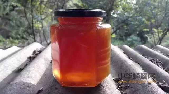 家中备瓶蜂蜜