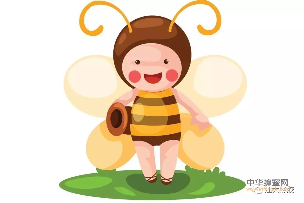 [蜂趣]关于蜜蜂秘密的二三事