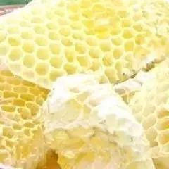 蜂巢蜜的作用及功效，蜂巢蜜可以治疗鼻炎,鼻窦炎