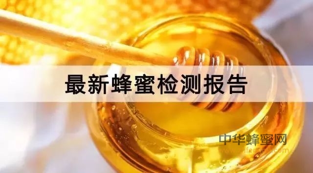 “网售蜂蜜检测实验”刊登上法制晚报