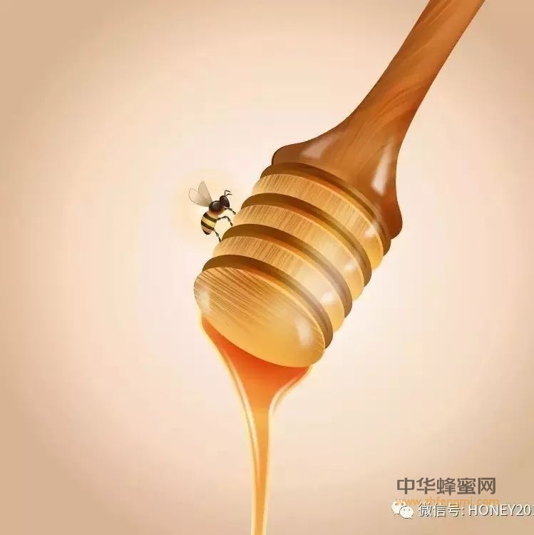 蜂蜜，老年人的最佳营养品之一