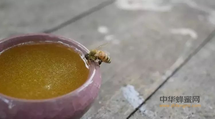 什么样的蜂蜜才能算是好蜂蜜
