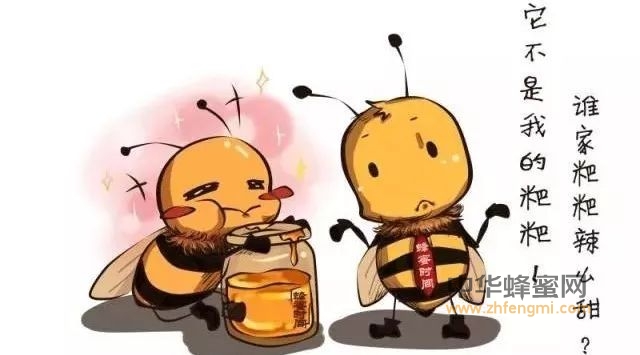 蜂蜜拉的屎怎么可能是甜的？