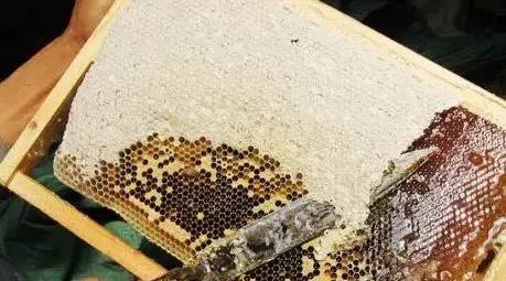 不就是辨别蜂蜜吗？很难吗！！