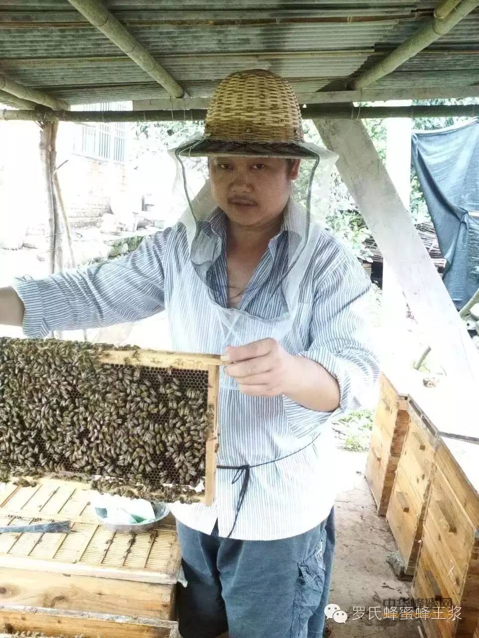 糖尿病患者为什么可以吃蜂蜜？
