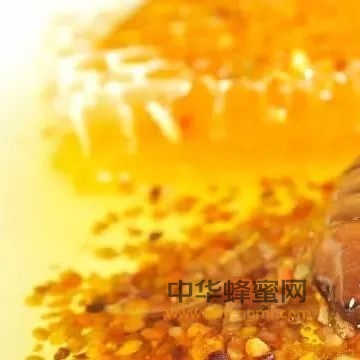 天然维生素之王——蜂花粉的美味吃法