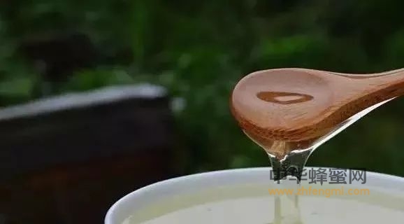 生姜配蜂蜜