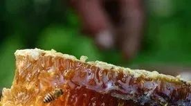 蜂蜜来保护心血管，蜜友们学好啦！