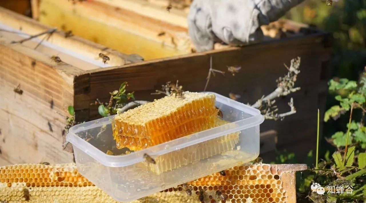 知蜂谷土家蜂蜜〈冬蜜〉介绍