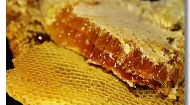 蜂巢蜜有哪些特点