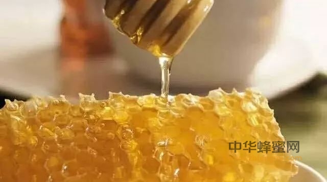 为什么蜂巢蜜比蜂蜜贵！
