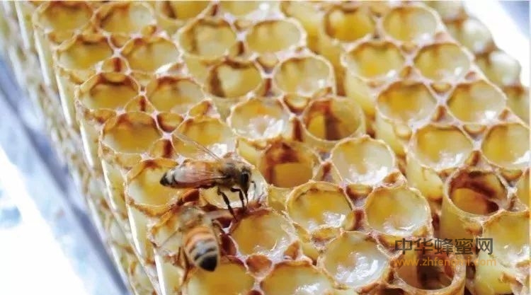 是蜂蜜太贵，还是你的健康不值得投资？