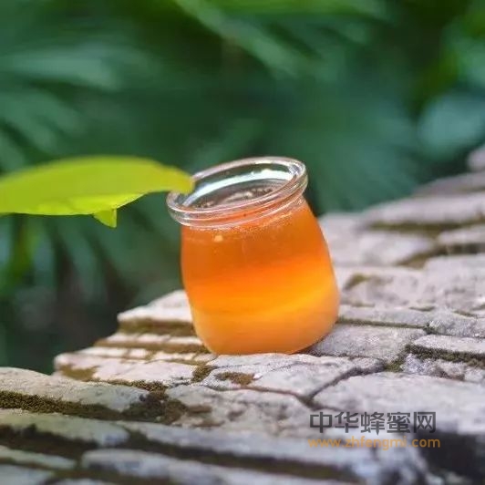 常喝蜂蜜有益健康，纯天然是关键！