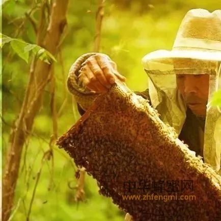 为什么卖蜂蜜的经常刷朋友圈，这才是背后的秘密