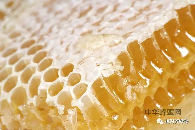 吃蜂蜜的8大好处