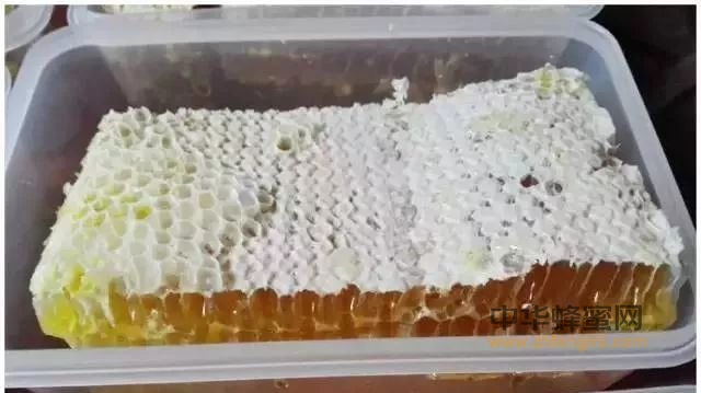 科普：蜂蜜中的六大成分，太宝贵了！