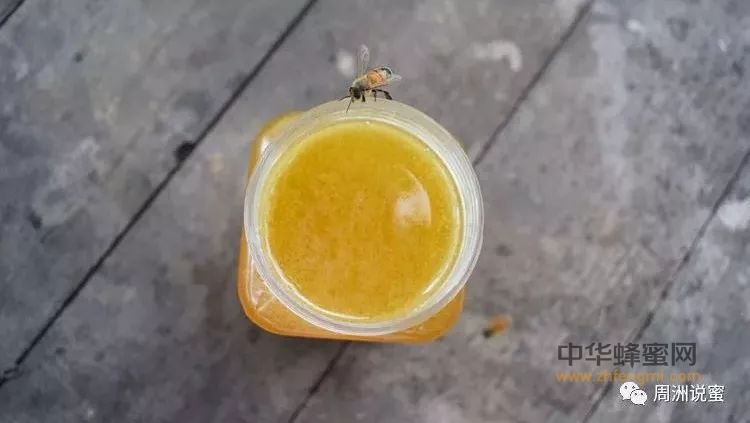 为什么浓缩蜂蜜不好？成熟蜂蜜和浓缩蜂蜜有什么区别？