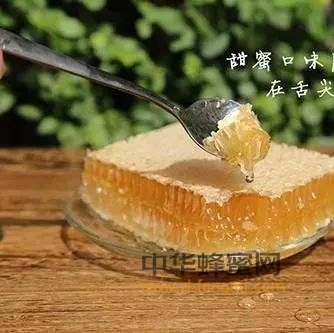 蜜中极品—蜂巢蜜