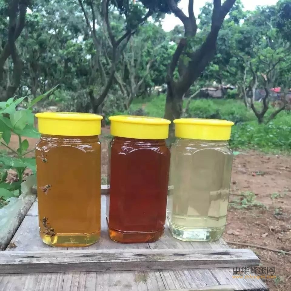 纯天然蜂蜜，有差异很正常！