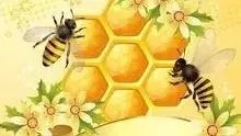 蜂蜜养生