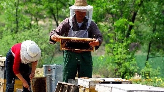 加工过的蜂蜜，会更好吗