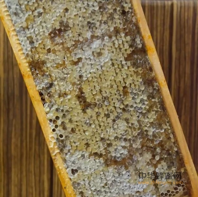一年取一次的中蜂巢蜜为什么更黏稠，吃起来更香甜？