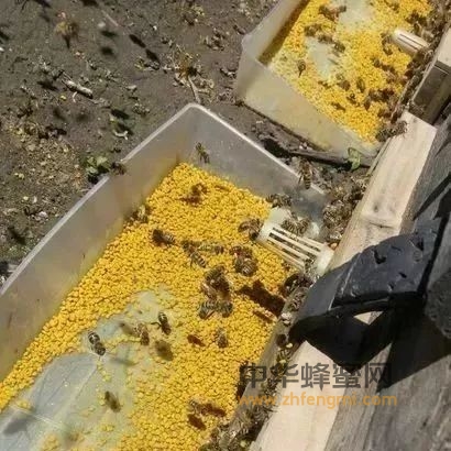 成熟男人为什么要吃蜂花粉？