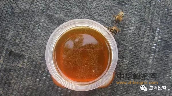 天热蜂蜜喝起来为什么会感觉比较稀
