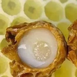 日本人为何青睐蜂王浆？