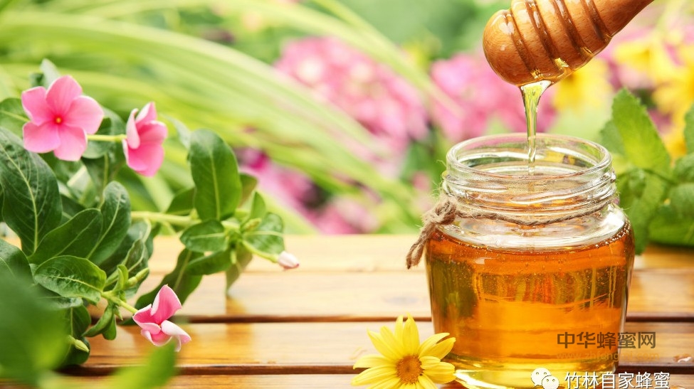 夏天喝蜂蜜，健康一整年！