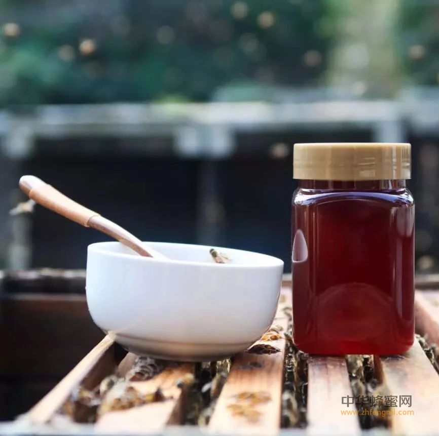 龙眼蜜、荔枝蜜、桉树蜜和冬蜜，如何选择一款最适合自己的蜜