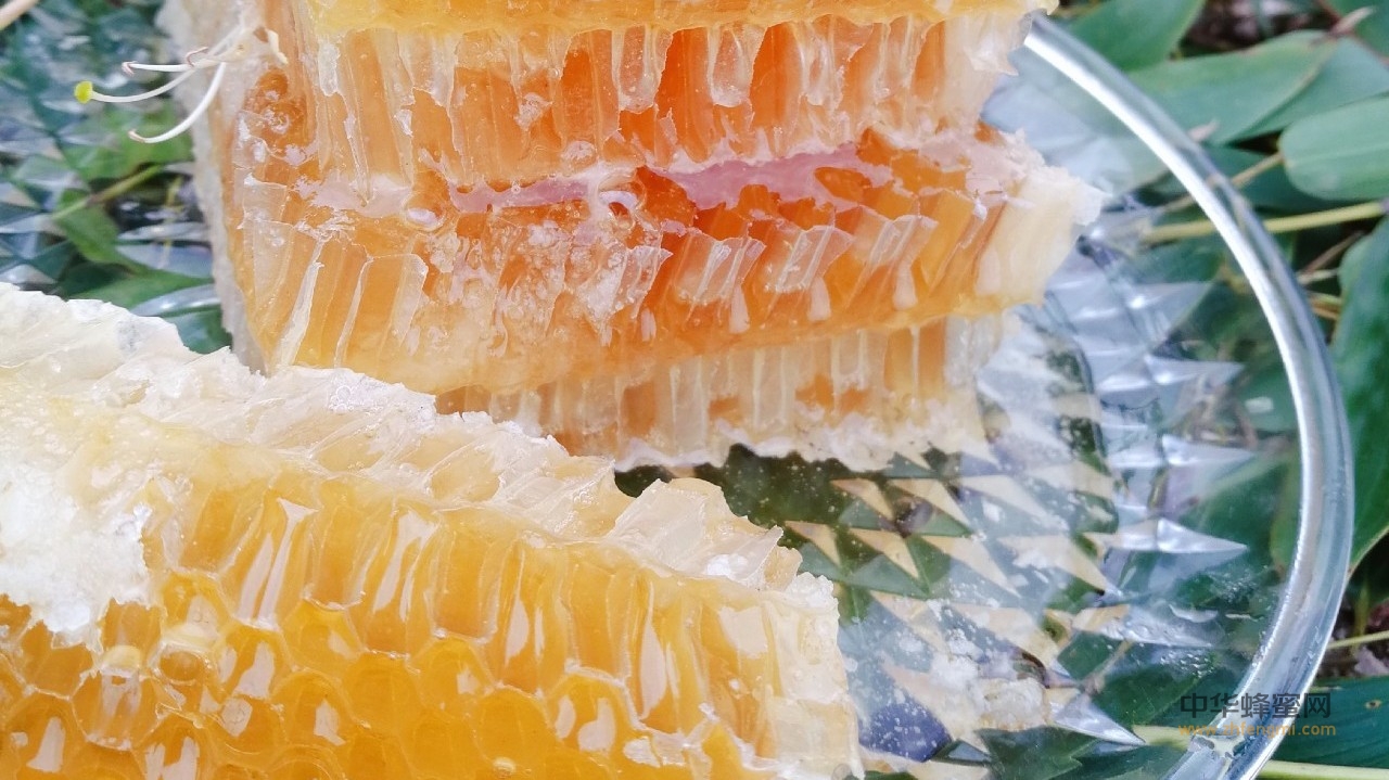 知蜂谷蜂巢蜜为什么会美容