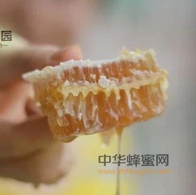 科学研究：喝蜂蜜能治疗咽喉疼痛