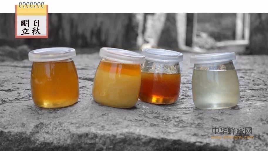 一勺蜂蜜，两个特性，三种水温，四段时间，五大用途！总结的太全面了！