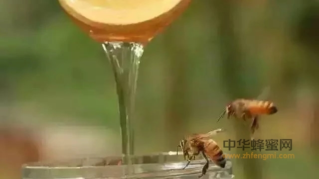 蜂蜜，因“酶”而任性！蜂蜜，因“酶”而精彩！
