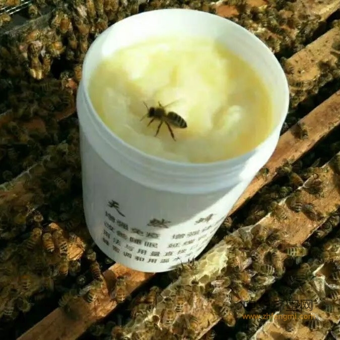 蜂王浆对人体的好处与品质鉴定！